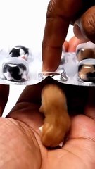 5. Nuevas Michi Pastillas 💊 😱✨ #cats #gatos #cat