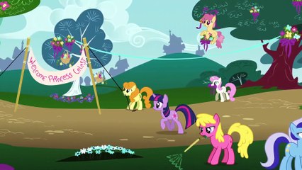 My Little Pony - Sezon 1 Odcinek 10 - Rój stulecia