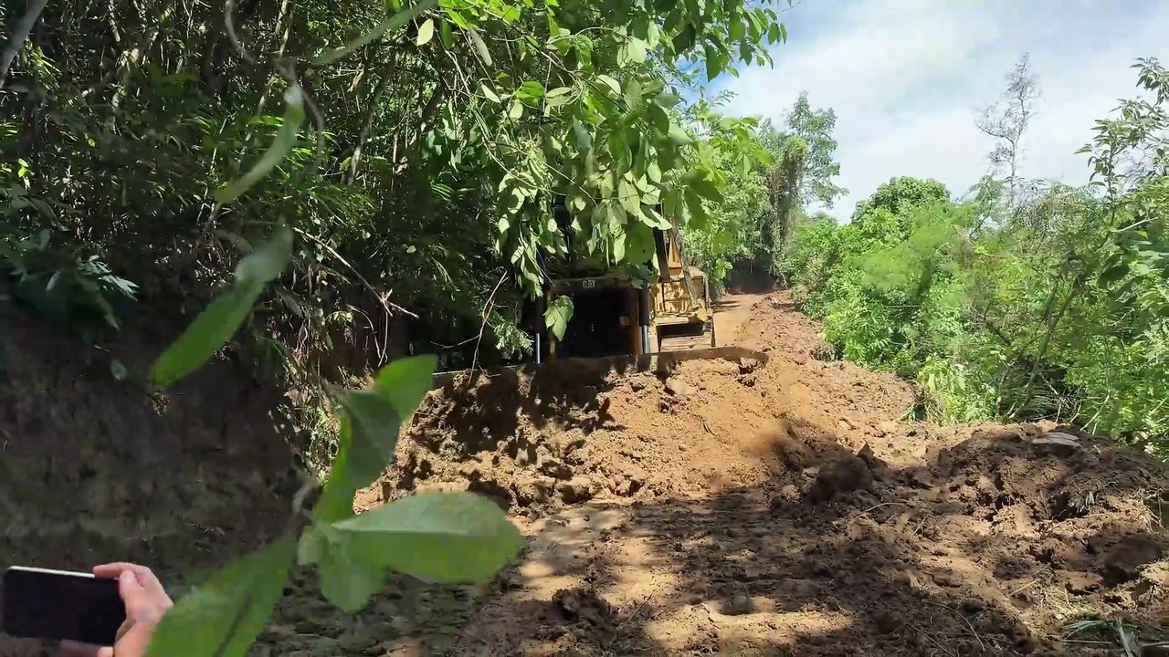 Easily Clearing Roads with the D6R XL Bulldozer in Plantations