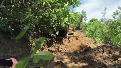 Easily Clearing Roads with the D6R XL Bulldozer in Plantations