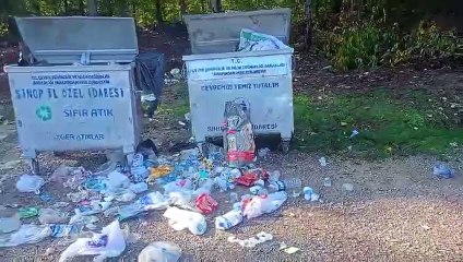 Sinop'ta pes dedirten ayıp! Konteyner yanı çöplük oldu