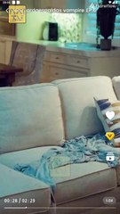 Mi Guardaespaldas Vampire en Español