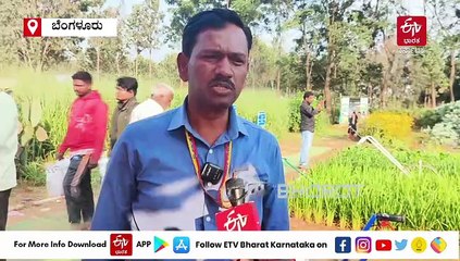 ಕಳೆಗಳಿಂದ ಶೇ. 45 ರಷ್ಟು ಇಳುವರಿ ಕುಂಠಿತ: ಸಮಗ್ರ ಕಳೆ ನಿರ್ವಹಣೆಯಿಂದ ಅಧಿಕ ಇಳುವರಿ