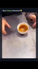 Task failed successfully! 😂