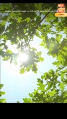 Trapped by the Twin Billionaire!-Full short drama