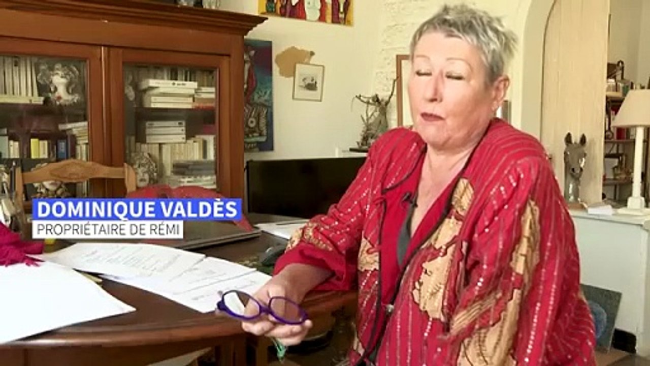 Actualités : Un Chat puni par la Justice (France,2025)