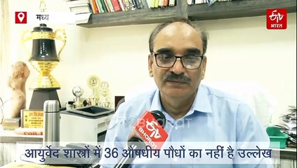 ट्राइबल एरिया की 24 जड़ी-बूटियों पर भोपाल में रिसर्च, ब्लड कैंसर में असरकारक तीन पत्ती