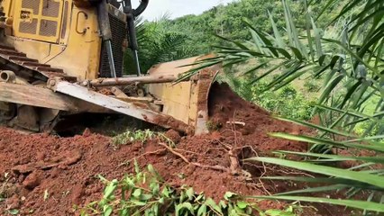 Efficiency and Precision of the D6R XL Bulldozer on Plantation Roads