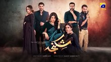Shikanja ep 4 Pakistani drama