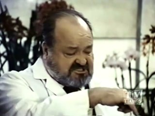 Nero Wolfe (1981) 112