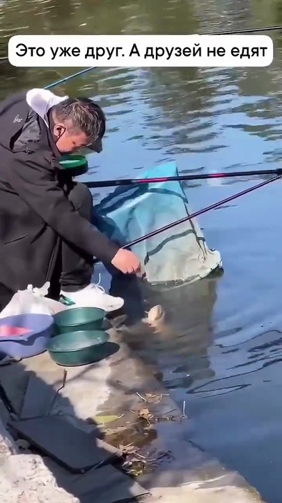 Un poisson très amical avec son pote le pêcheur