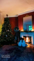 Jeff Panacloc partage une photo de ses filles Alice et Rose près du sapin de Noël. Instagram le 16 novembre 2025.