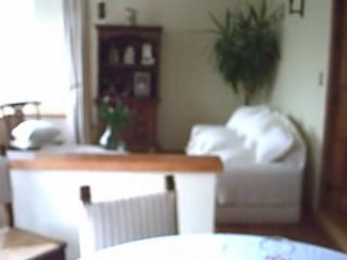 03. Salon de Solange