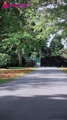 Mafia's Tender Torture--English Annual Top Short Drama - First Premiere--丨FULL English subtitles