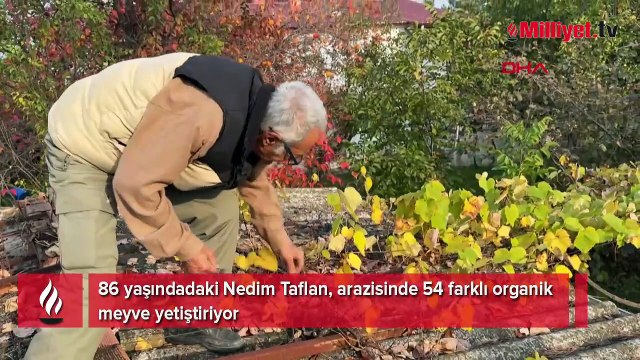 Almanya’da gördü Samsun’da uyguladı! Tam 54 tür: ‘Türkiye geneline satış yaptım’
