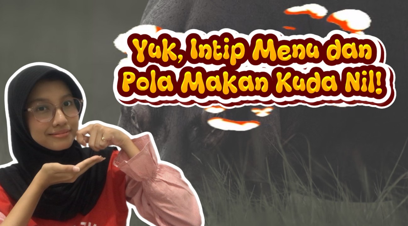 Mengintip Menu Makan Kuda Nil: Hewan Galak, tapi Bukan Pemangsa!-Serius Ini Hewan?