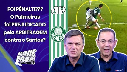"Se FOI PÊNALTI PRO PALMEIRAS??? Cara..." DEBATE FERVE após LANCE POLÊMICO contra o Santos!