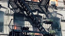 Unbelievable! Cats Escape a Building Fire Using the Back Stairs!