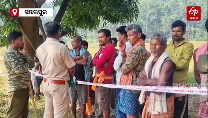 ସମ୍ବଲପୁରରେ ବୃଦ୍ଧି ପାଉଛି ହାତୀ ମଣିଷ ସଂଘର୍ଷ, ସ୍ଥାୟୀ ପ୍ରତିକାର ପାଇଁ ସରକାରଙ୍କ ନିକଟରେ ଦାବି