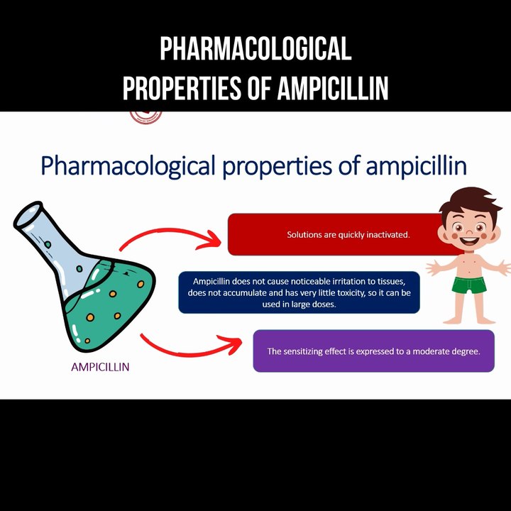 Pharmacological properties of ampicillin