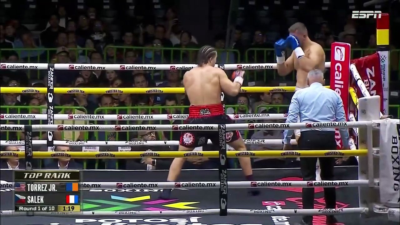 Richard Torrez Jr. vs. Tomáš Šálek (15-11-2025) Full Fight