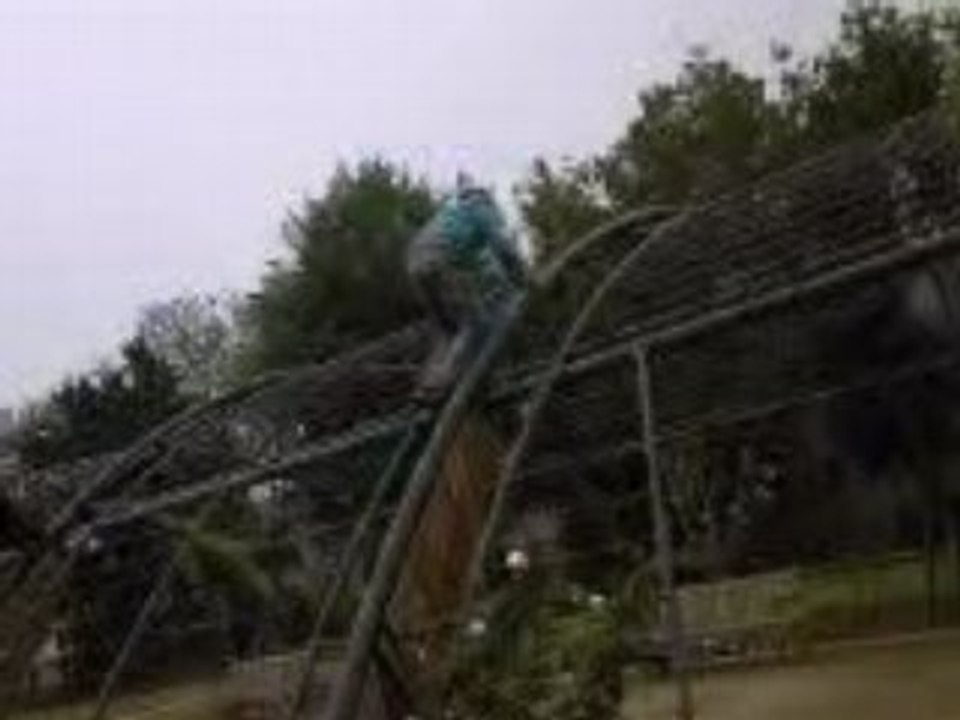 escalade aux jardin des plante