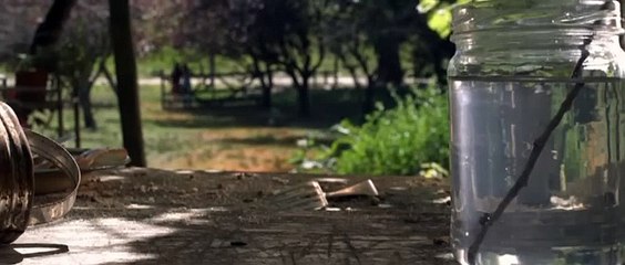 2010 La Mosca En La Ceniza FULL SPANISH MOVIE