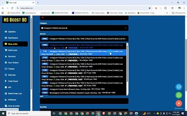 SMM panel in France | Buy Instagram Followers France: NSBOOSTBD
