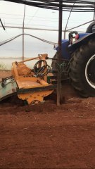 Soil preparation in greenhouse.