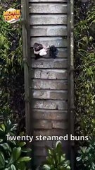 Kung Fu Twins: A Magic Strike