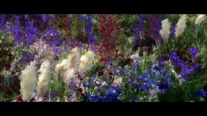 What Dreams May Come (1998) - Robin Williams In Painted Heaven Scene | Movieclips