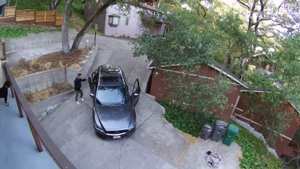 Don’t Freak Out! Fails of the Week ¦ FailArmy