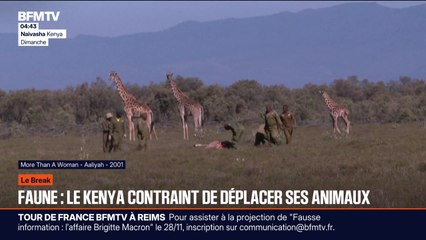 Le break du mardi 18 novembre