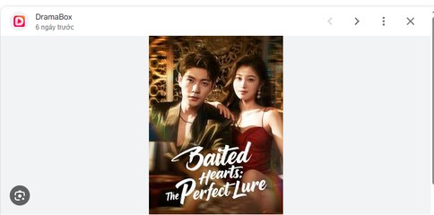 Baited Hearts The Perfect Lure Drama Movies English Sub