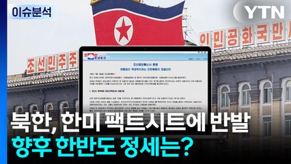 [뉴스나우] 북한, 한미 팩트시트 4일 만에 '반발'...향후 한반도 정세는? / YTN