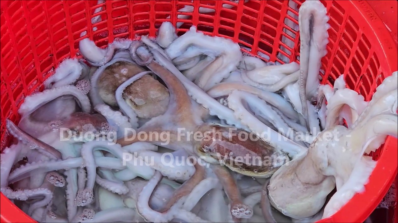 Duong Dong Fresh Food Market - Phu Quoc, Vietnam
