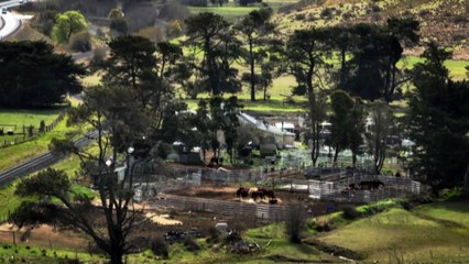 Inspection of Weona Park horse stud found several serious animal welfare issues, just weeks before public outcry.