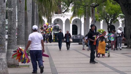 Bolivia, La Chiquitanía y el bosque amazónico