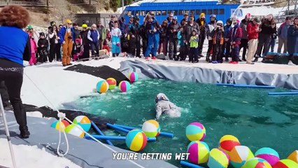 Duck Attacks Chick! Fails of the Week ¦ FailArmy