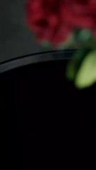 Falling For The Rose( Full Episodes ) Eng sub