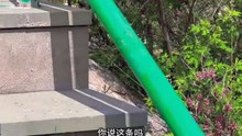 心情不好，看完视频瞬间就舒服了