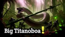 titanoboa snake | Titanoboa 4k wild adventure Type ATV Serial on telegram
