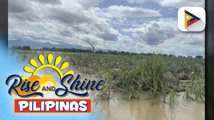 Iniwang pinsala ng Bagyong #TinoPH sa sugar industry, posibleng umabot sa higit PhP1.2B