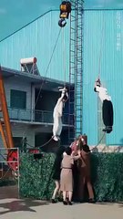 They Chose Him But the World Chose Me (DUBBED) - Full