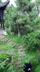 [Flextv] Love’s Deadline A Century Late  ENgSub