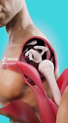 #facts #shortvideo #ytshorts  #animation  #3danimation