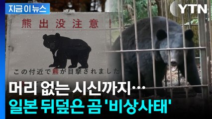 "곰이 진화하고 있다"...먹이 사슬 붕괴, 일본 전역에 비상 경보 지금이뉴스] / YTN
