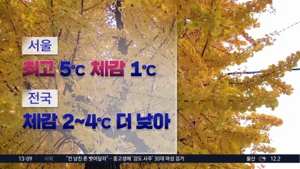 [날씨]한낮에도 겨울 추위…서울 체감 1도