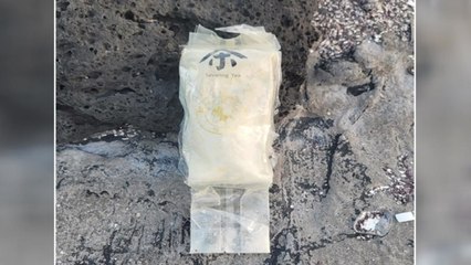 제주 해안가에서 '중국 차' 위장 마약류 또 발견 / YTN