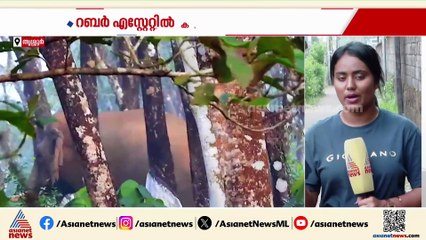 കാട്ടാനക്കൂട്ടത്തിന് മുന്നിൽ KSRTC ബസ് ബ്രേക്ക് ഡൗണായി; ബസിലെ യാത്രക്കാർ സുരക്ഷിതർ